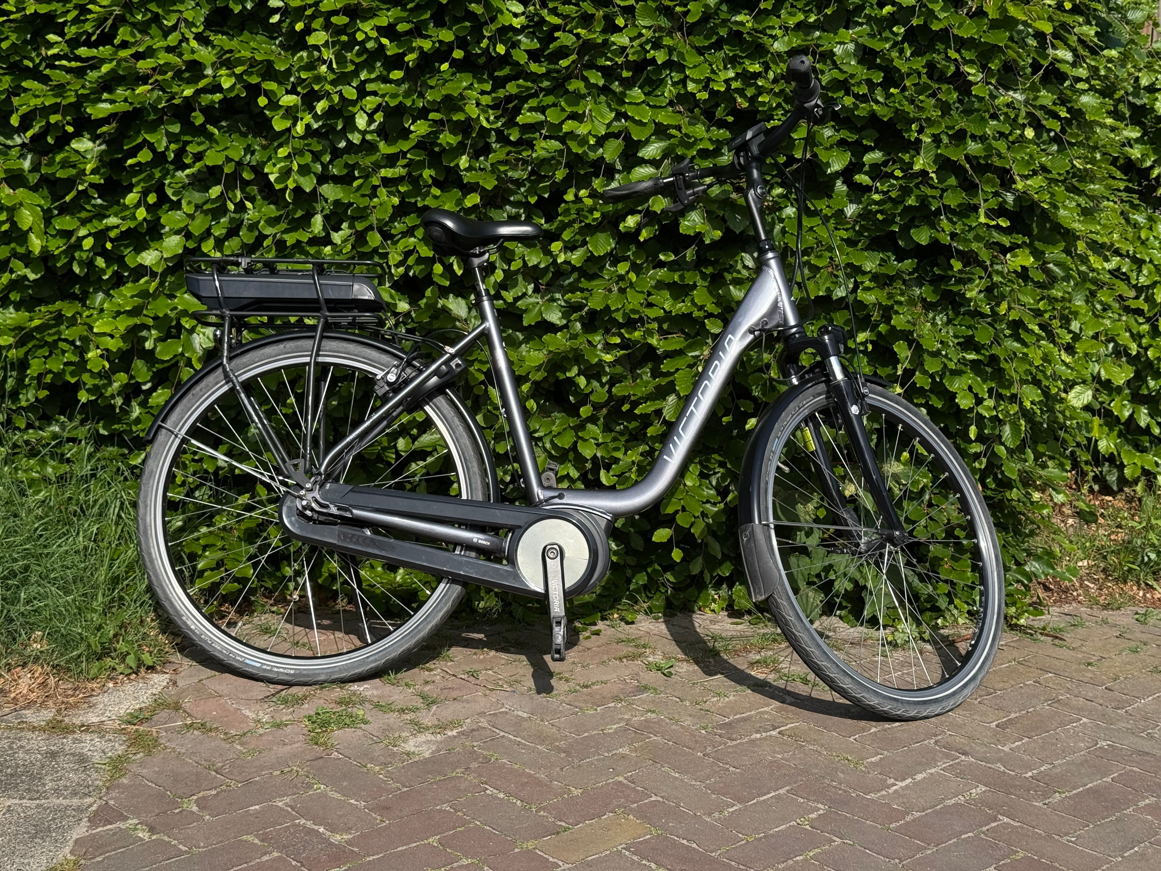 Victoria E Bosch Grey 55cm 2021