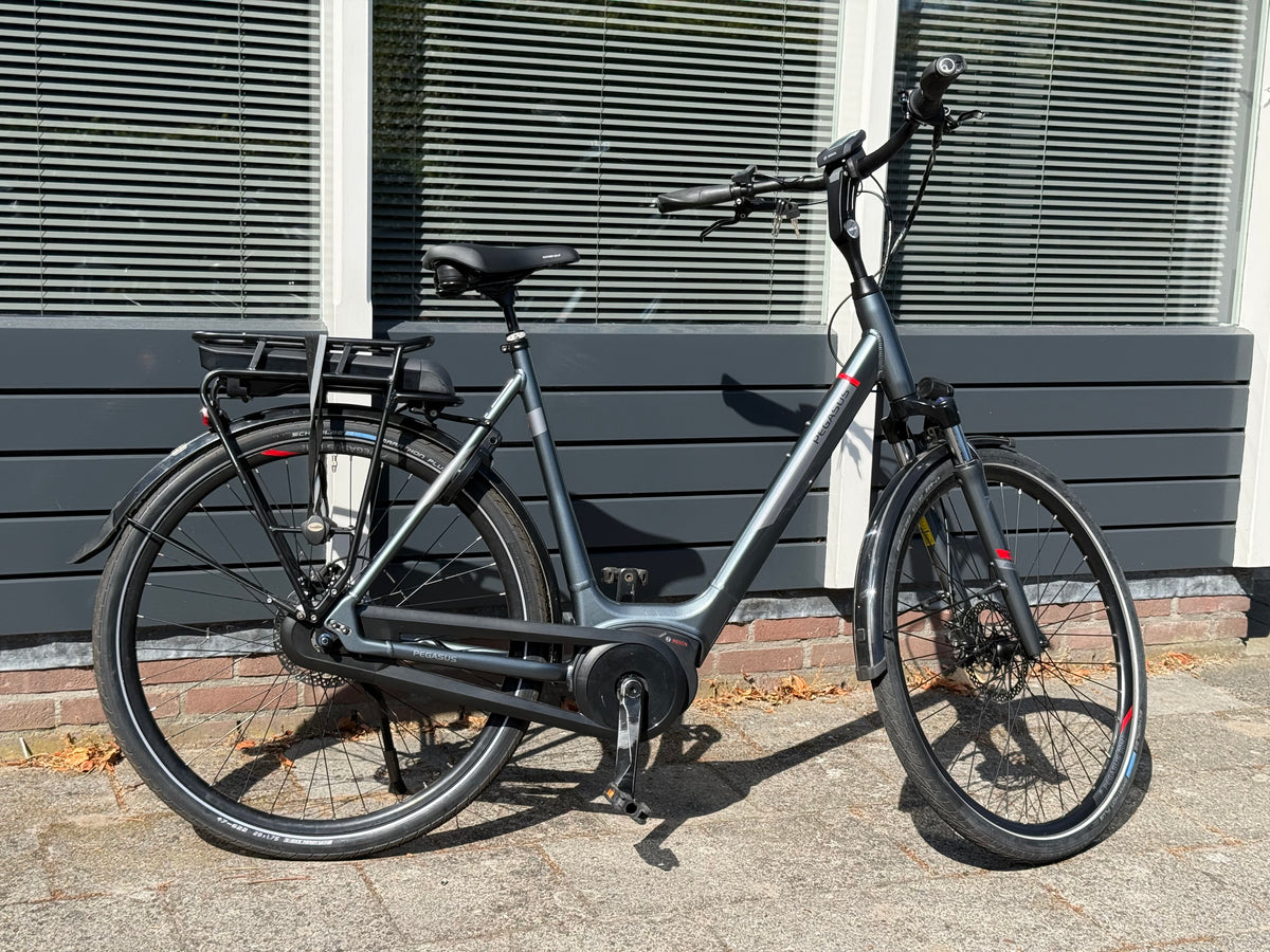 Pegasus Ravenna E8F D60cm Shiny Grey 60cm 2022