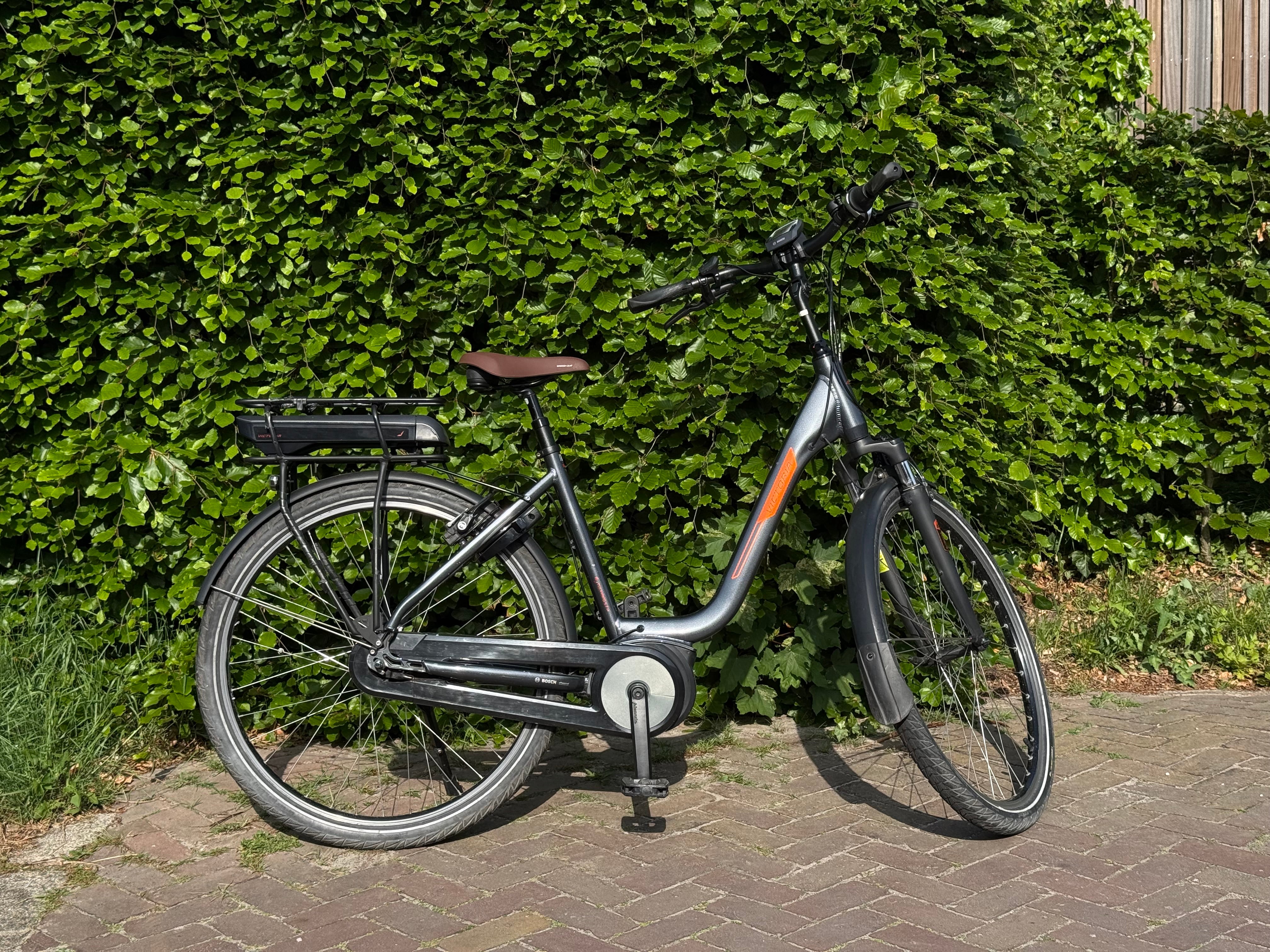 Victoria E Bosch Grey 55cm 2021