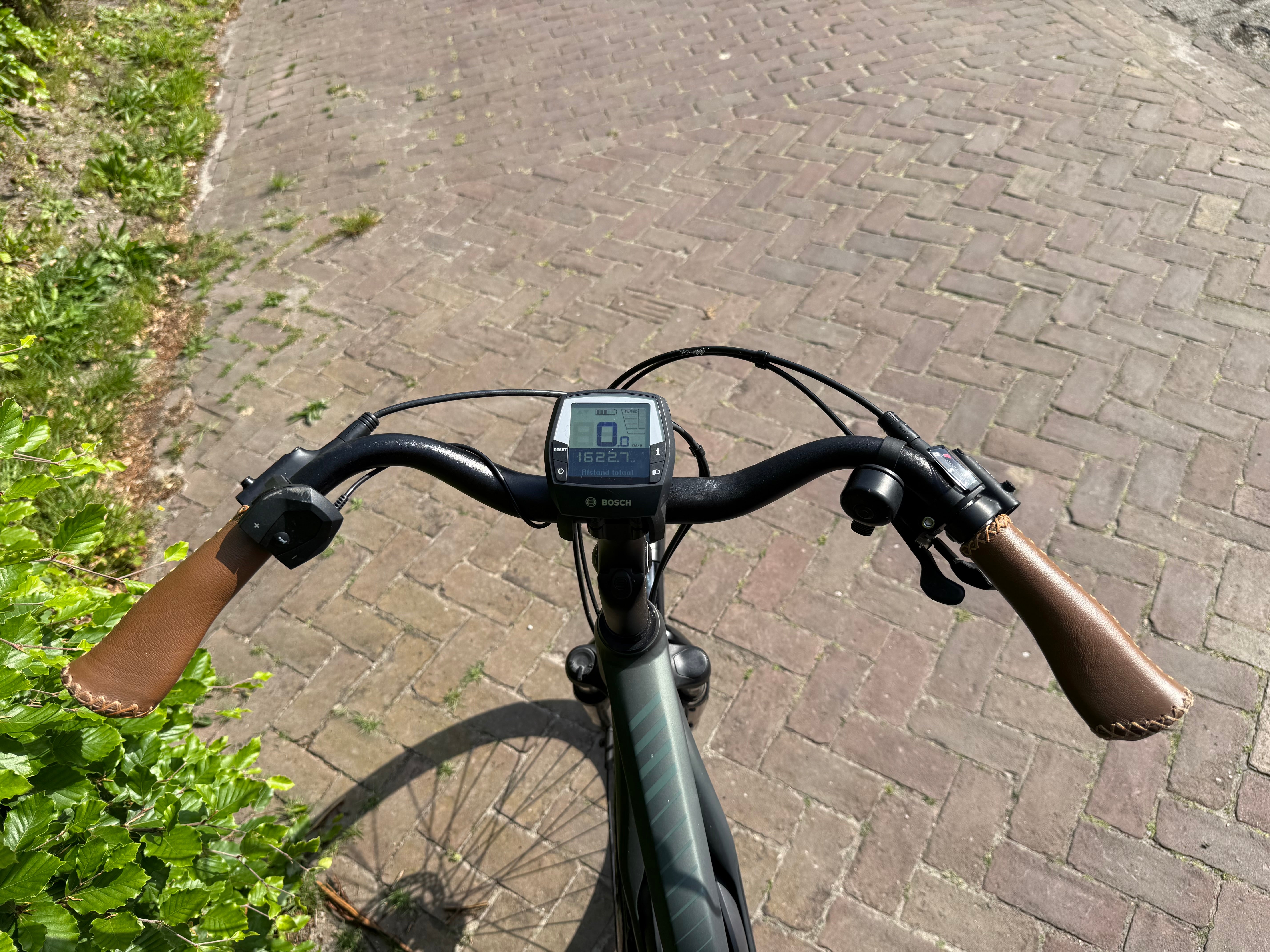 Stella Morena Groen 2023