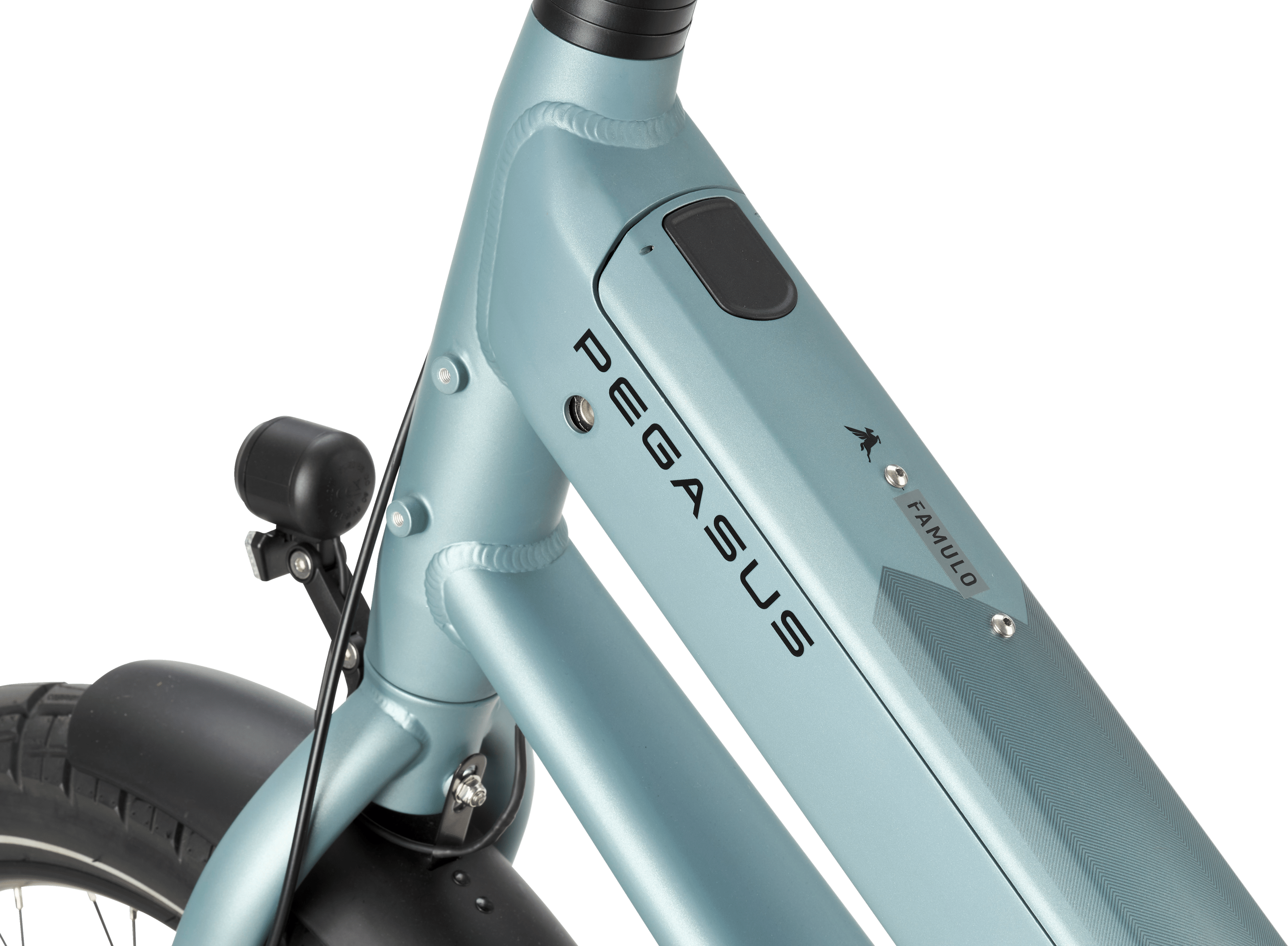PEGASUS FAMULO Longtail Holographic Grey Matte 22 Inch 2026