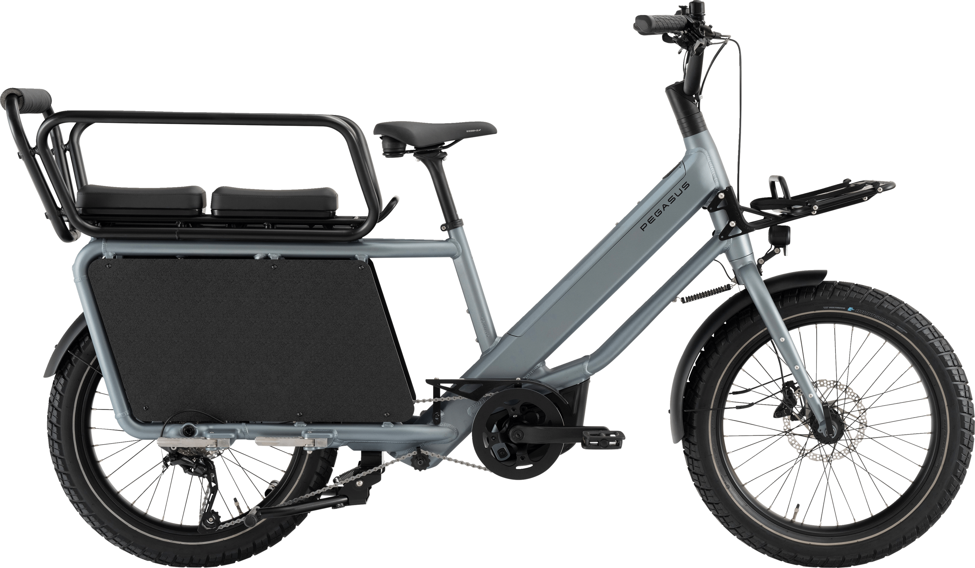 PEGASUS FAMULO Longtail Holographic Grey Matte 22 Inch 2026