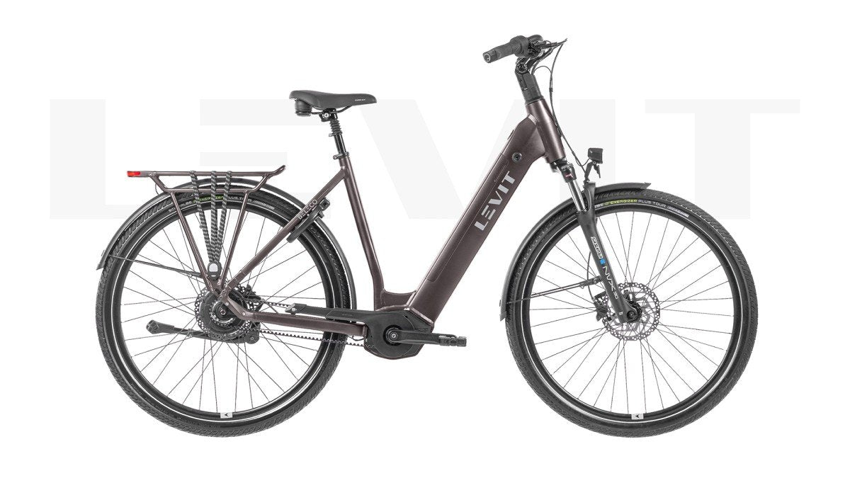 LEVIT BELECO 3 low 55 allspice 725 Allspice 55cm 2025