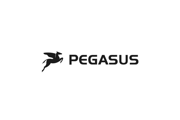 Pegasus