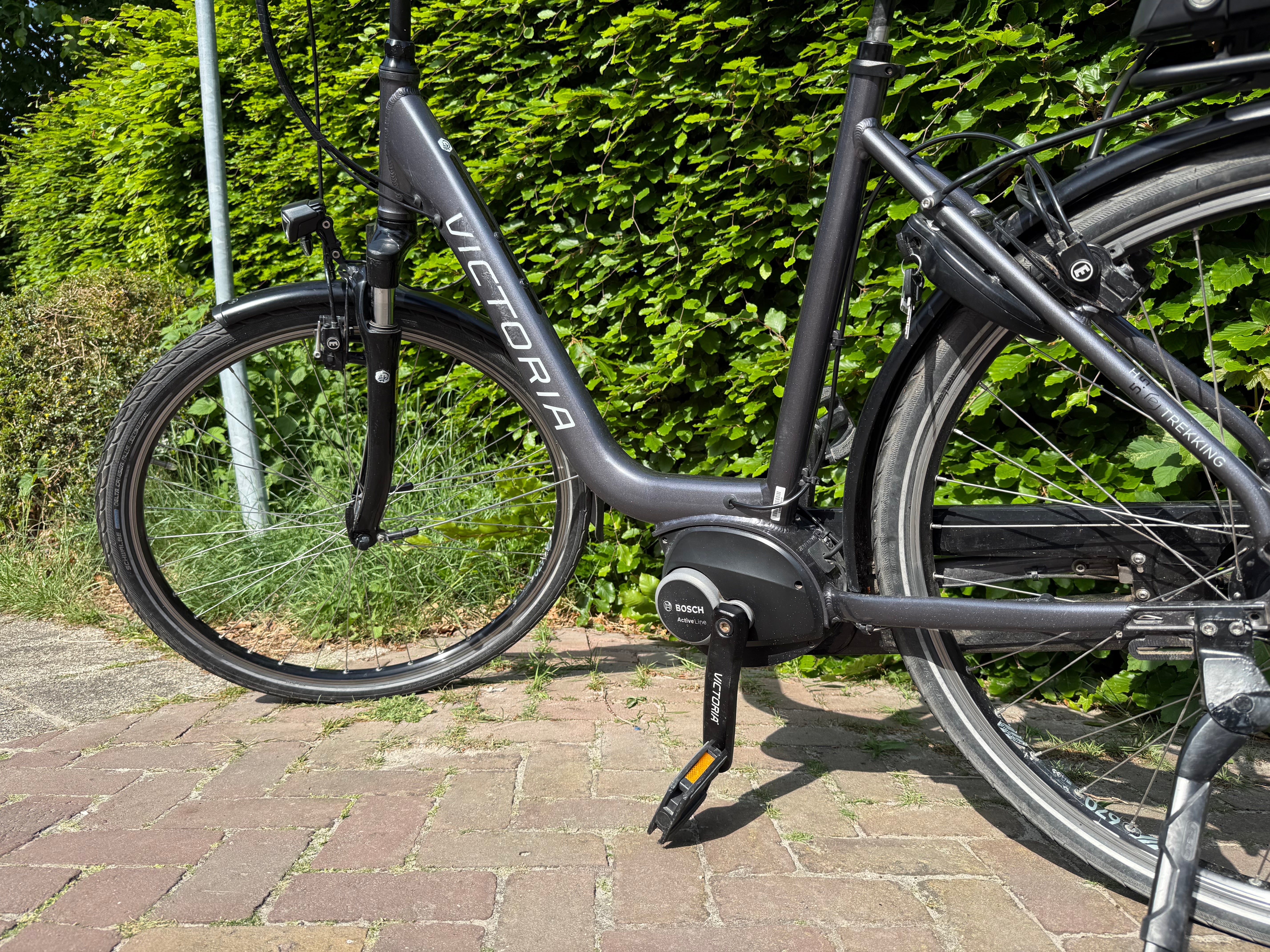 Victoria E Bosch Grey 55cm 2021