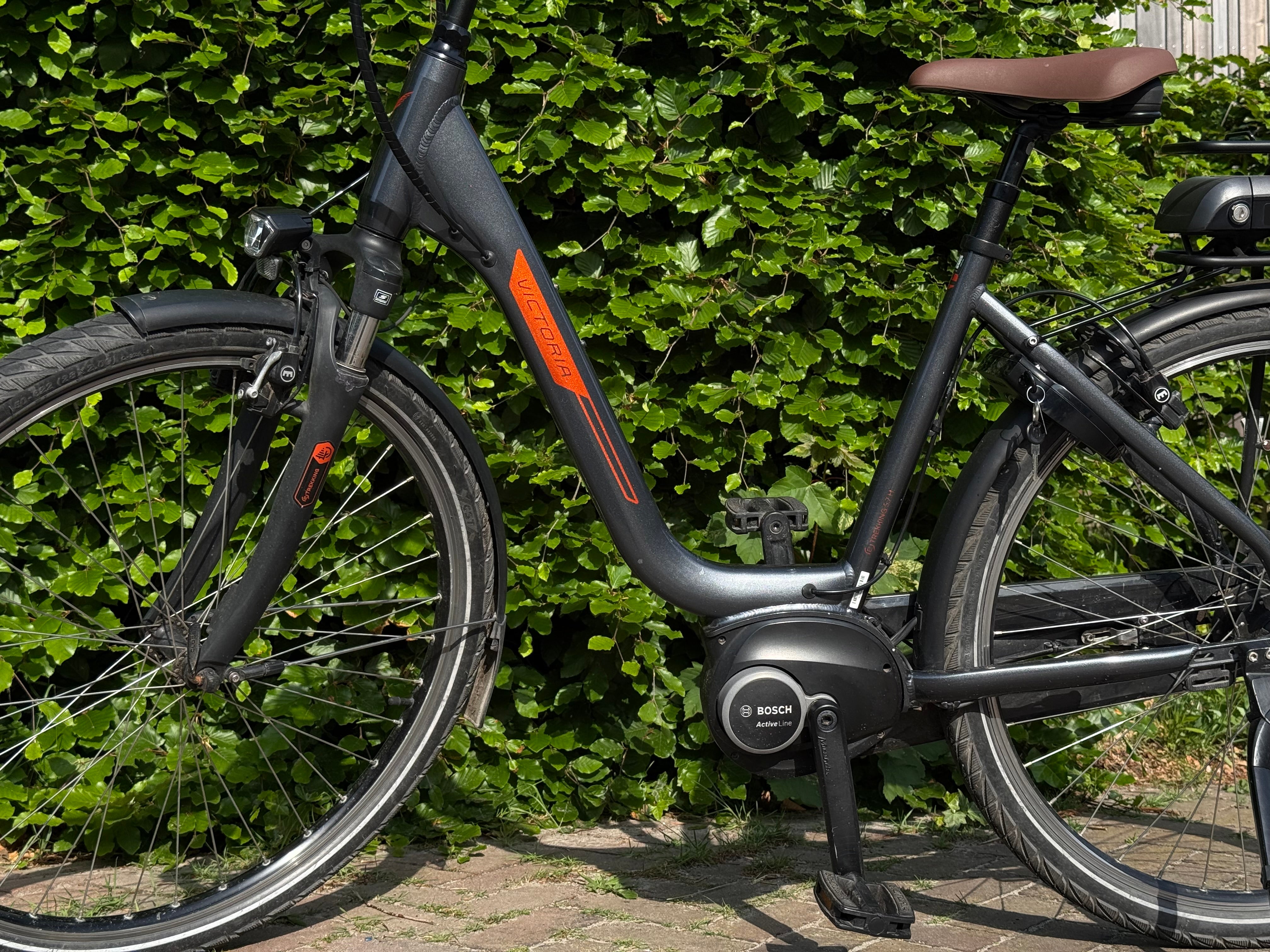 Victoria E Bosch Grey 55cm 2021