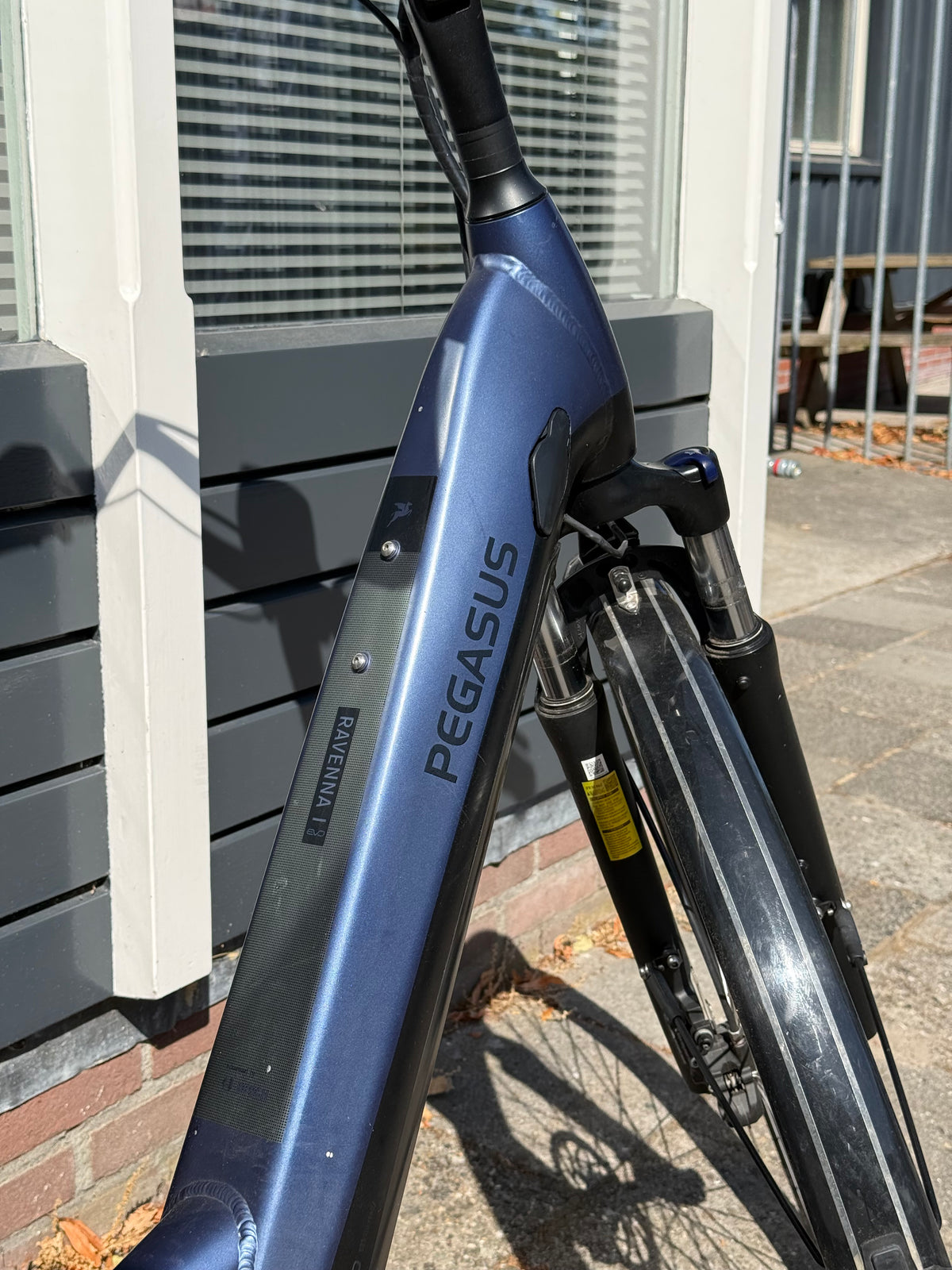 PEGASUS Ravenna EVO 5 NL Steel Blue Matt/black Matt 28" 55cm 2022