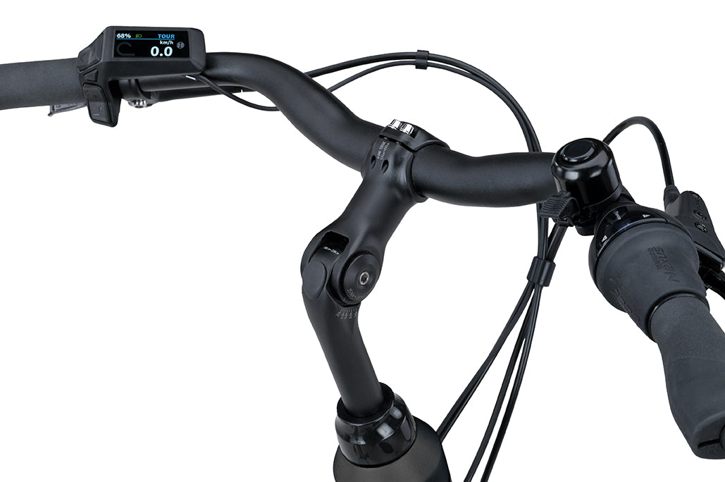 BATAVUS Altura PT - 500Wh Dames Smokingblack Matt 56cm 2026