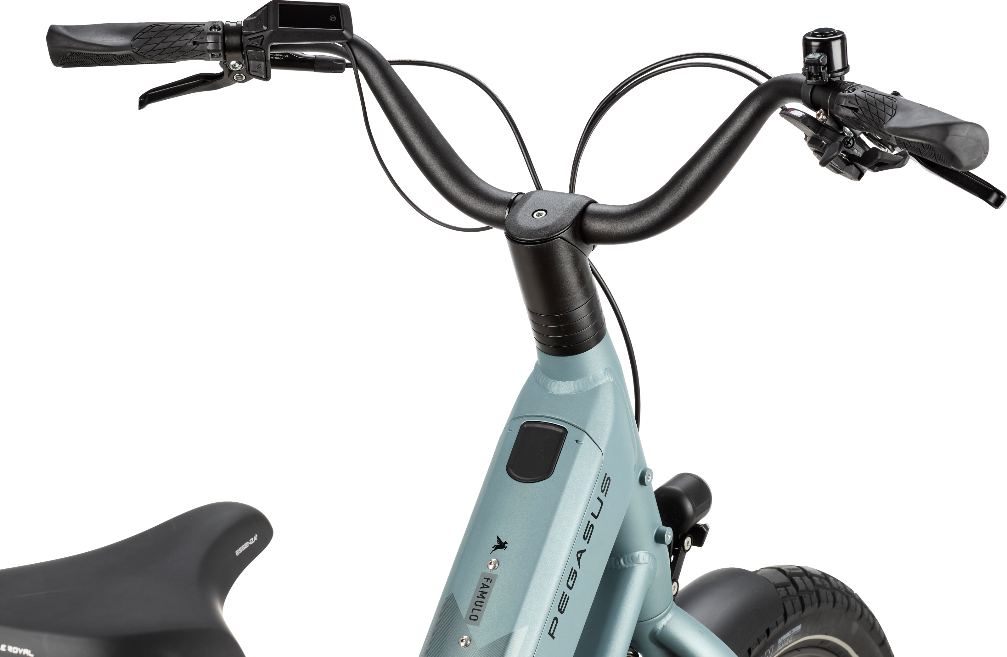 PEGASUS FAMULO Longtail Holographic Grey Matte 22 Inch 2026
