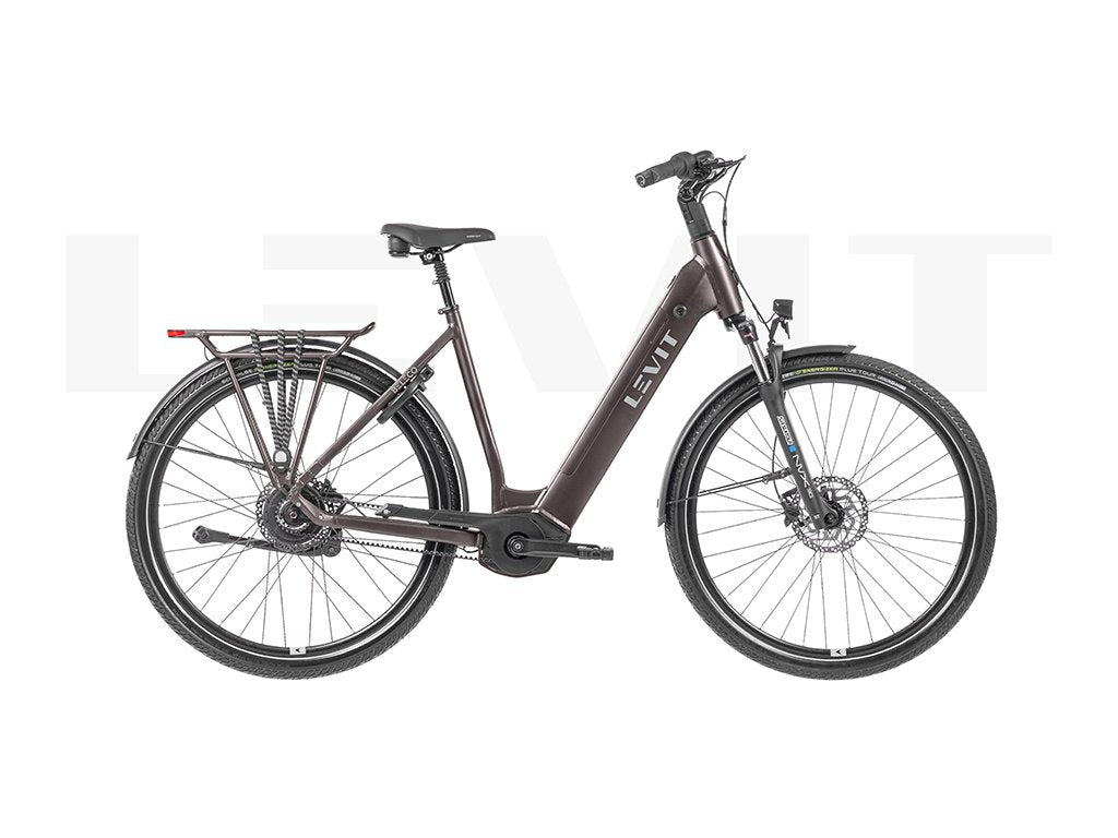 LEVIT BELECO 3 low 50 allspice 540 Allspice 50cm 2025